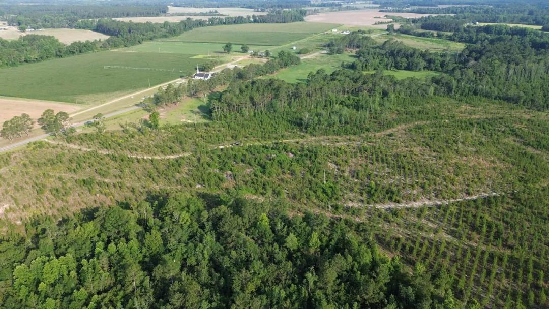 112 acres on Big Satilla Creek