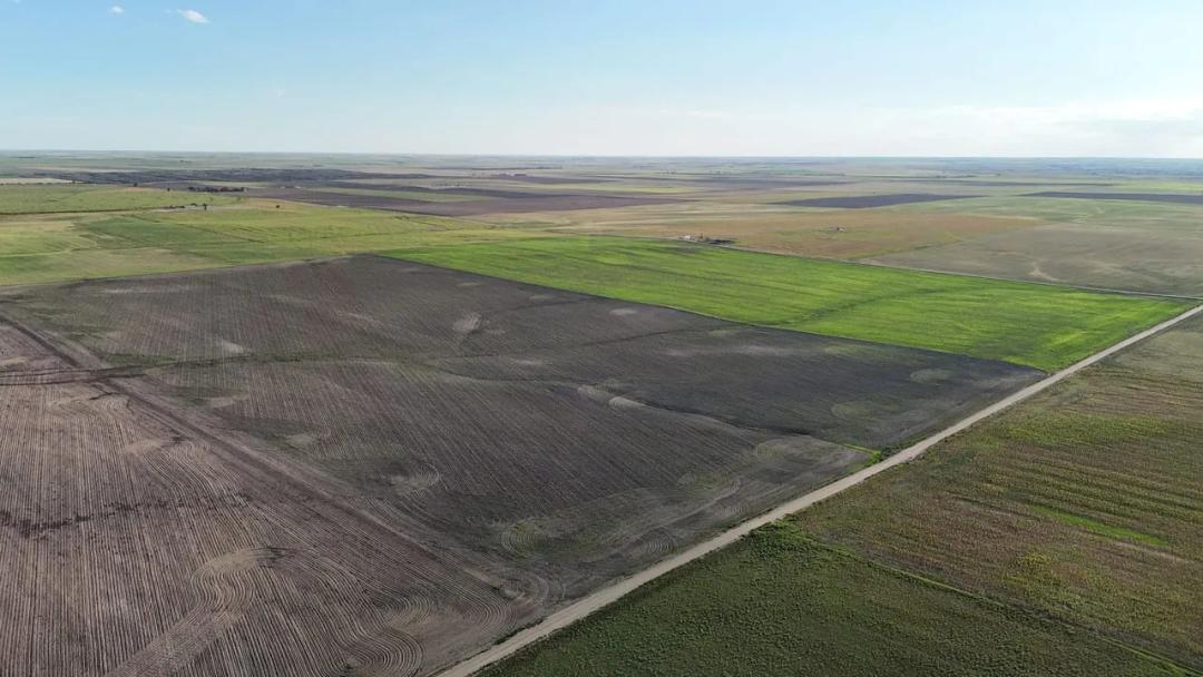 County Line Productive Dryland