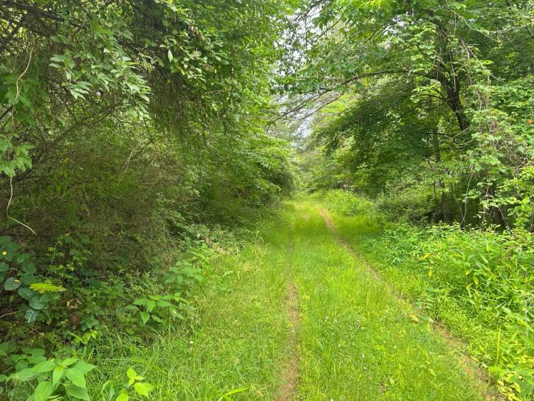 80.00 Acres at 0 Haught Run Rd