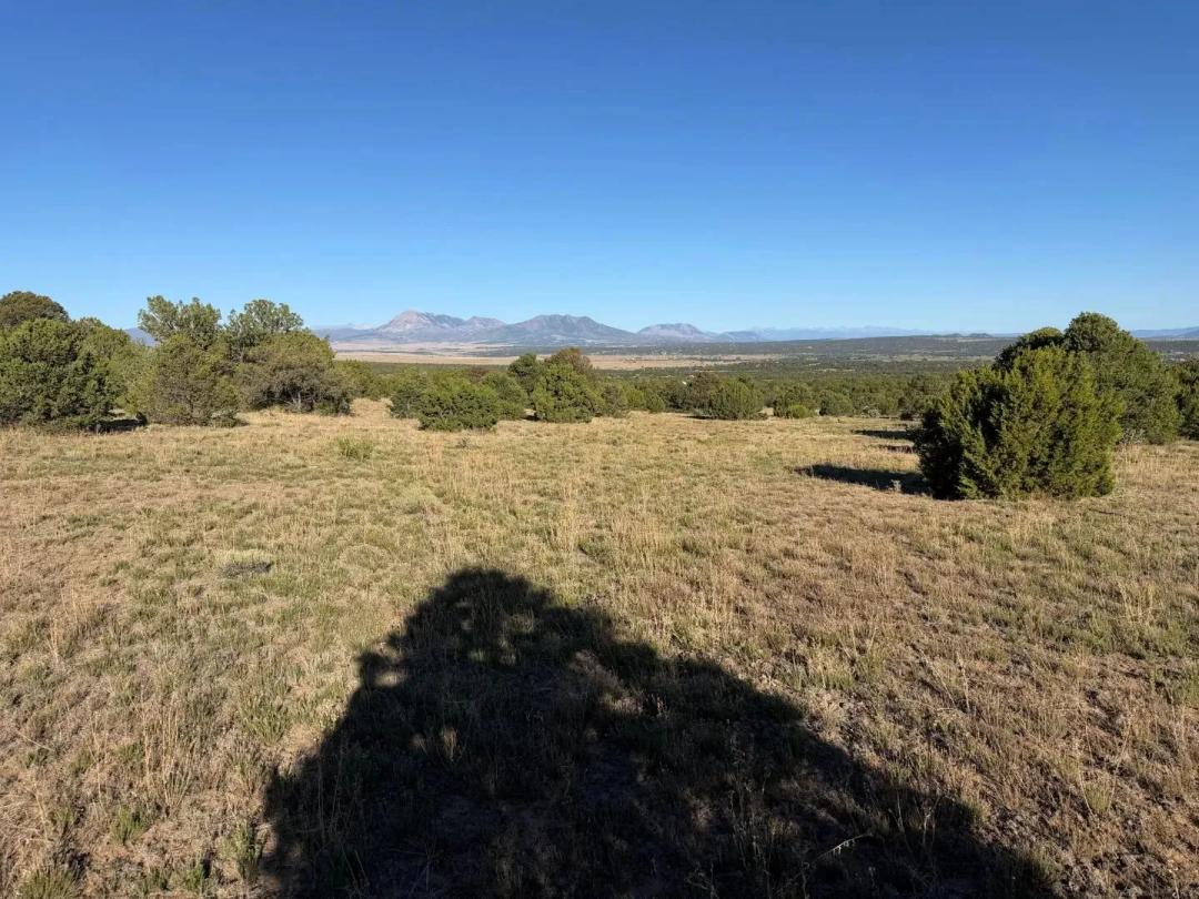  Lot 141 River Ridge Ranch, Walsenburg, CO 81089