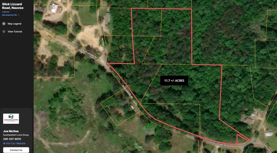 11.7 +/- Acres in Nauvoo, Alabama