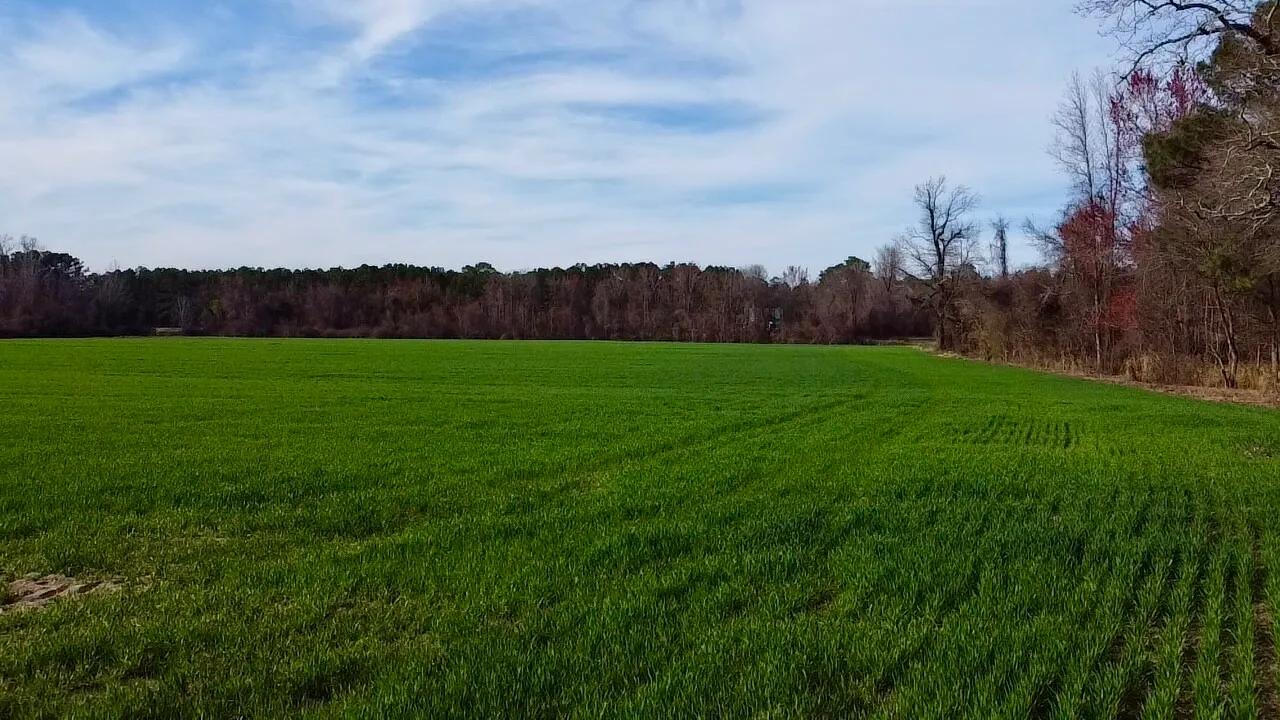 42380837-6