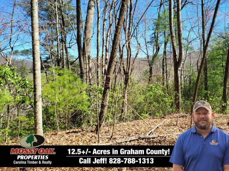 12.57+/- Acres Bordering U.S. Forest Service in Graham County!