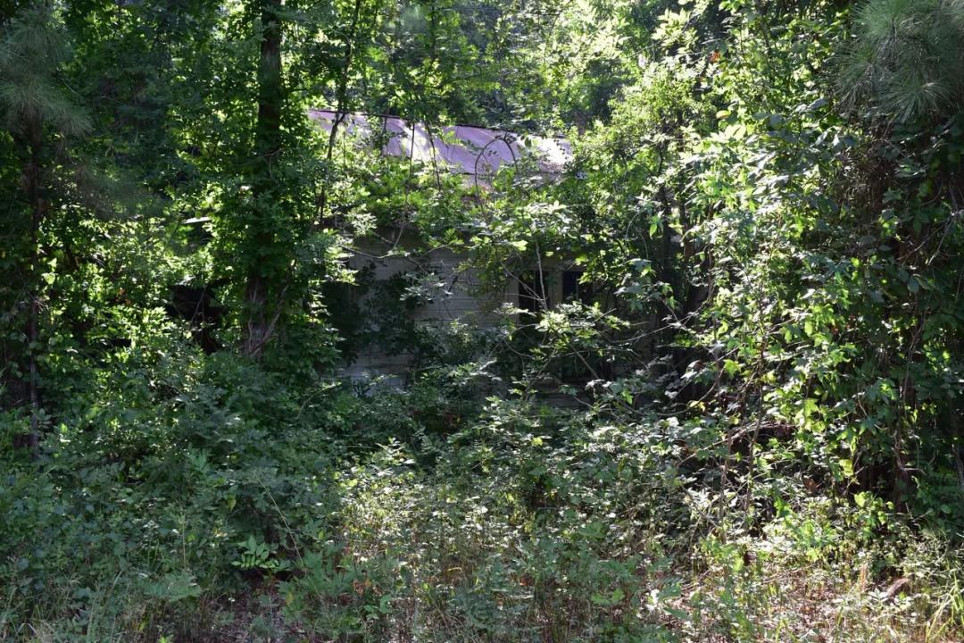 Chambersville Farm