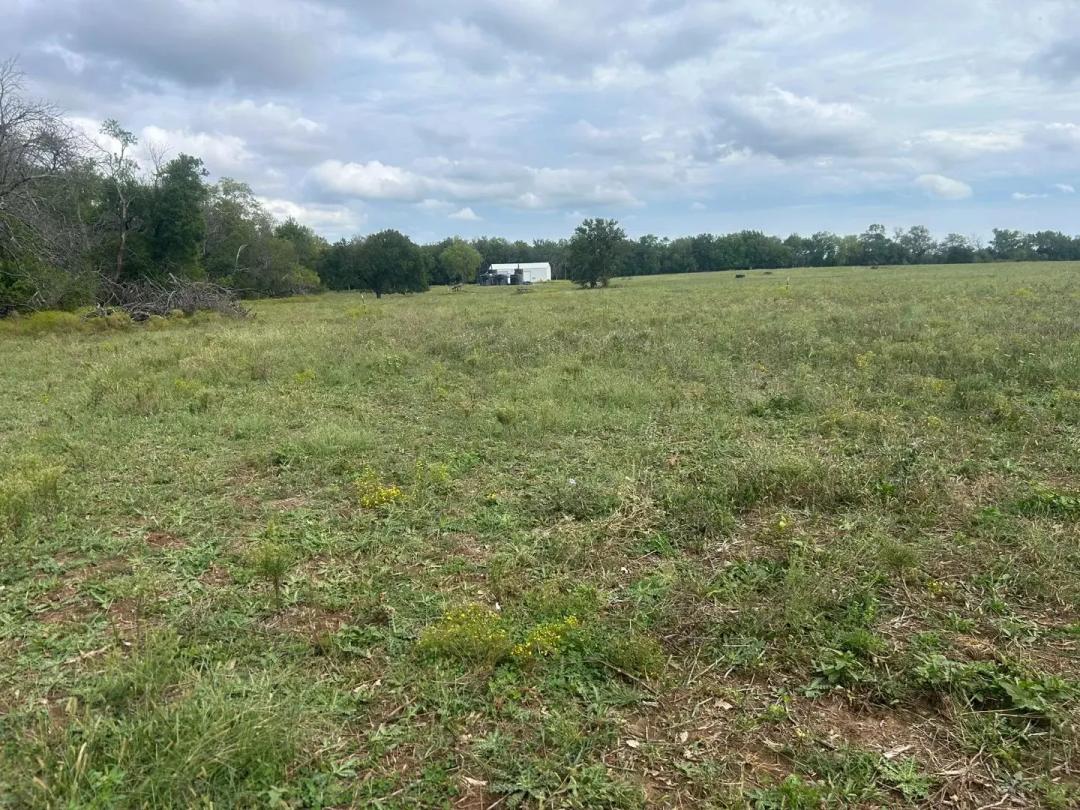 Prime 80±-Acre Hunting & Recreational Land with Investment Potential – Linn County