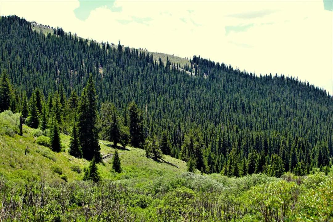 Trails End Alpine Hideout