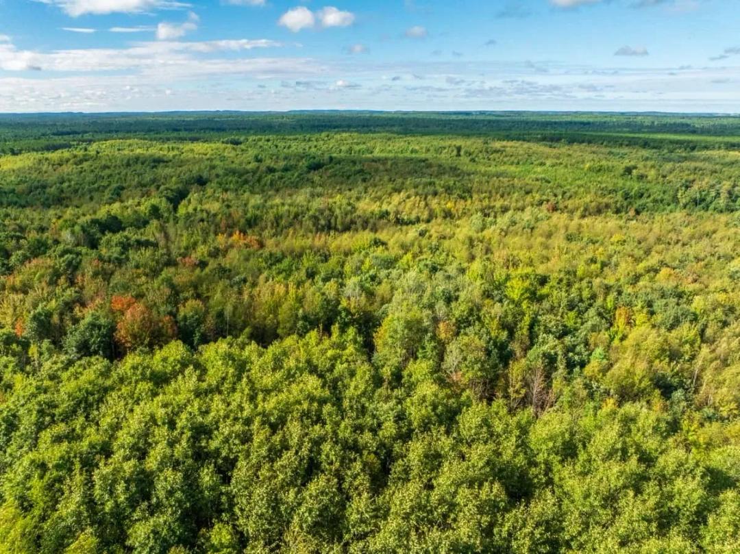 204.74± acres of premier recreational and hunting land in Eau Claire County
