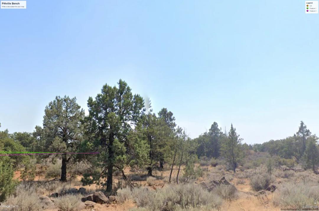 20 acres between Pittville & Nubeiber California - Trees - Old Mobile