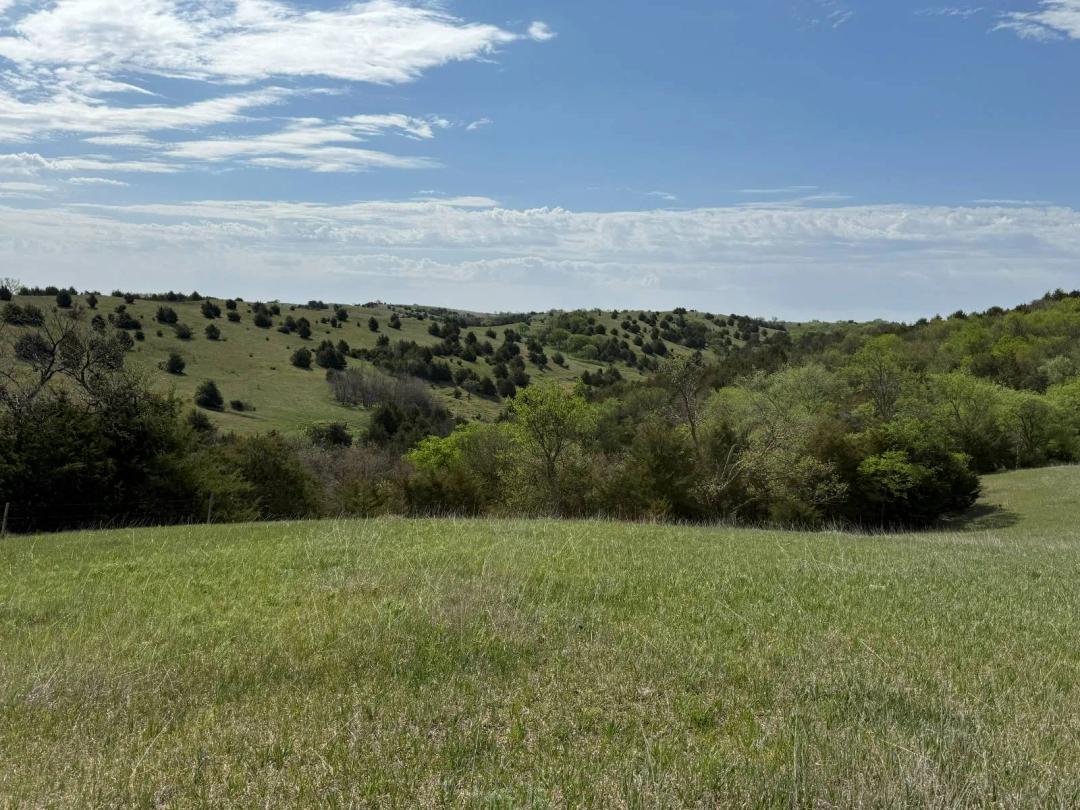 Premier 230± Acre Recreational &amp; Grazing Property