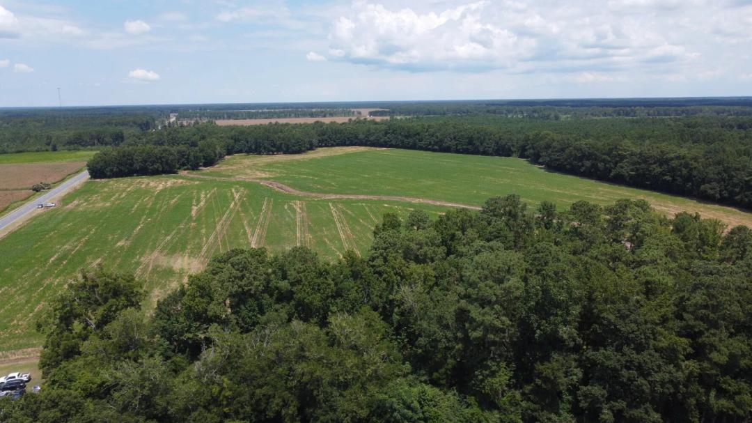 65.00 Acres at 0 Black River Road