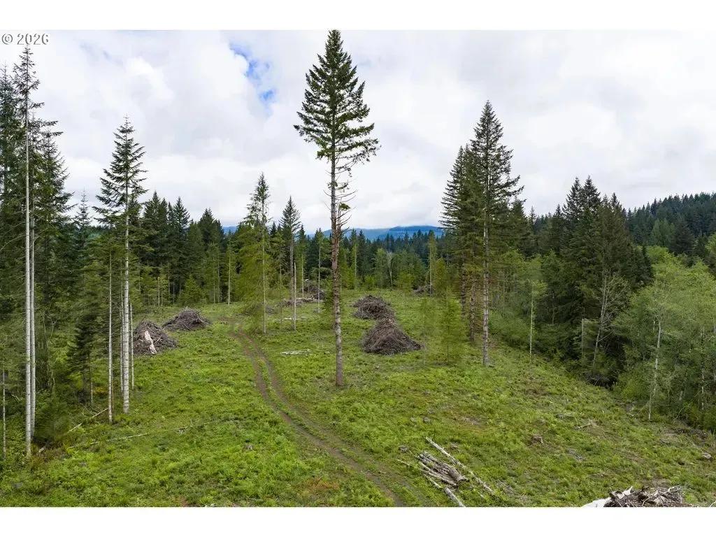 58 Acres of Washington Land for Sale in Washougal - Development Potential & Timber