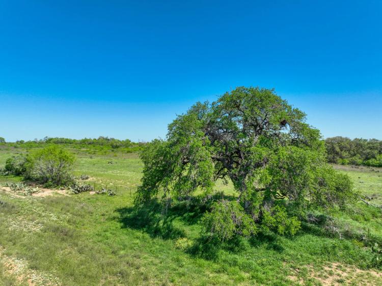 Secluded Poteet 12 acres