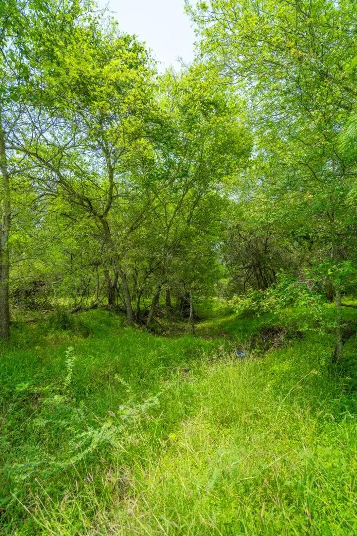 Hord Creek Ranch
