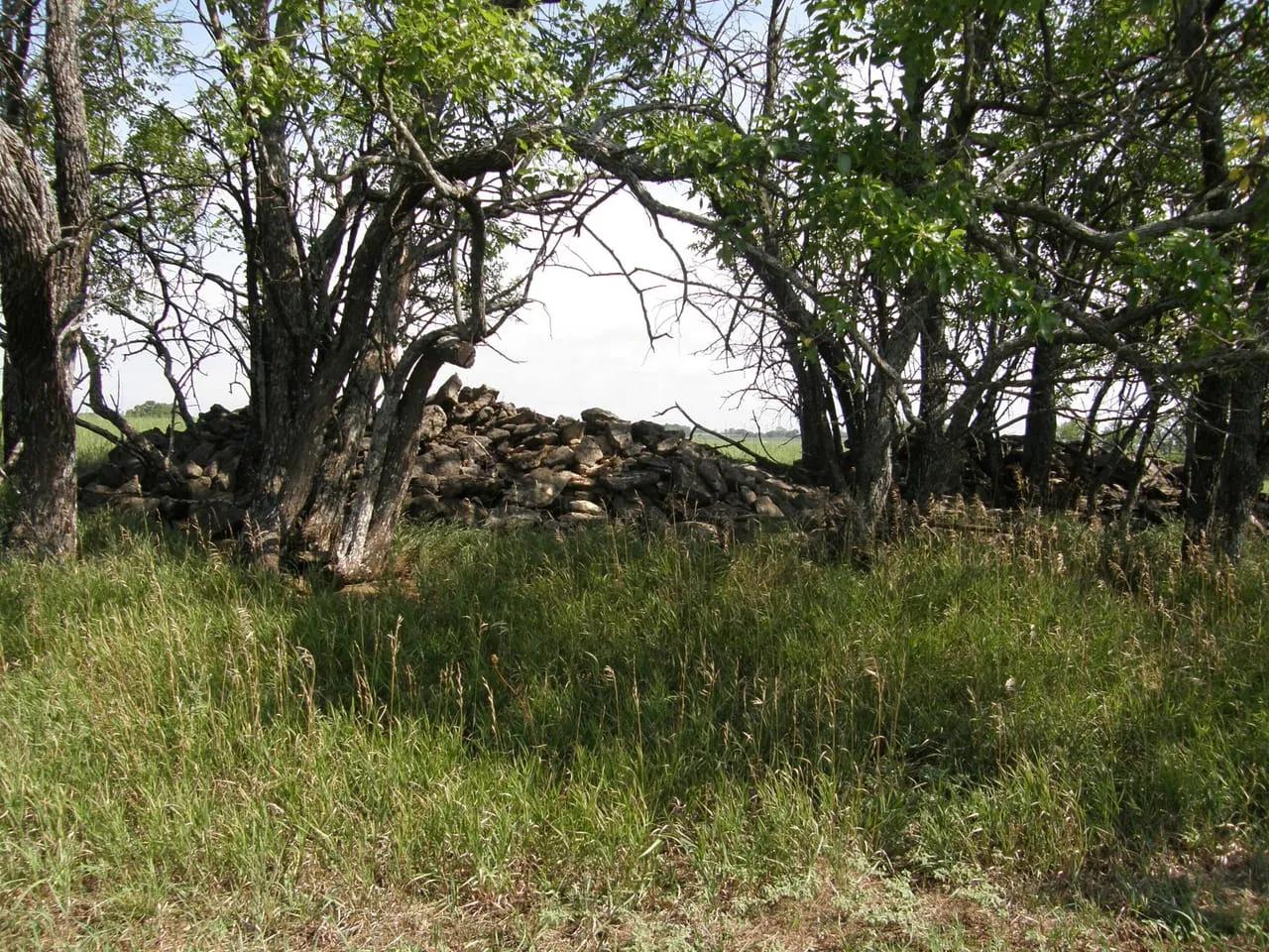 42617328-50