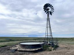 42689307-12