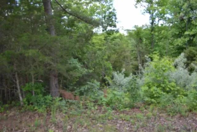 2.75 AC IN THE SULPHUR CREEK MARINA AREA WALKING DISTANCE TO DALE HOLLOW LAKE, KY