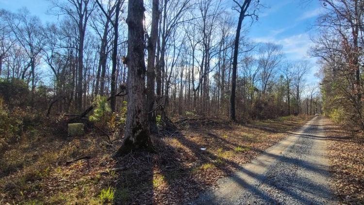 10 Acres +/-  0 Morgan Hare Rd.