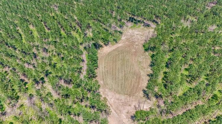 Turn Key Hunting Property in Amite County, MS