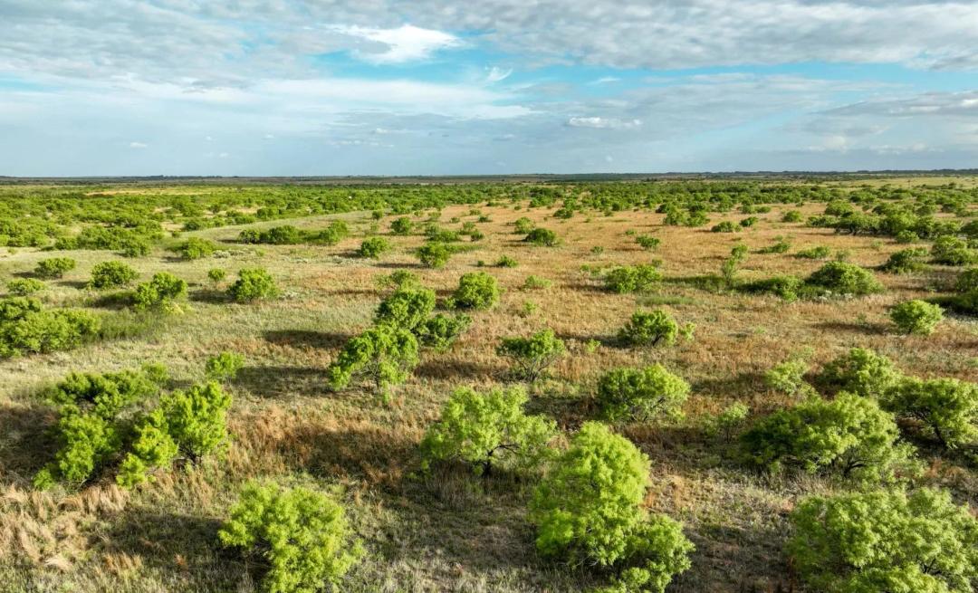 South Draw Ranch
