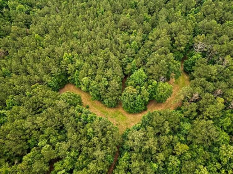 Hunting Land Near Homochitto National Forest, MS