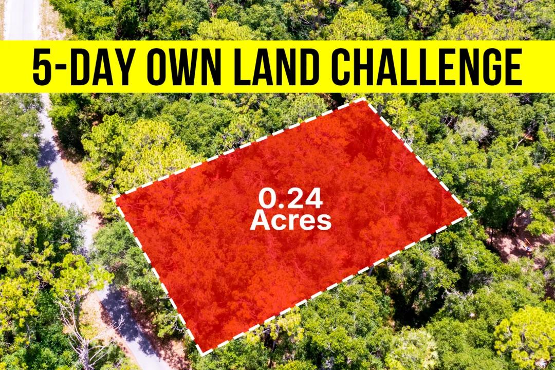 Own a 0.24-Acre Paved Road Access, No HOA - Owner Financing