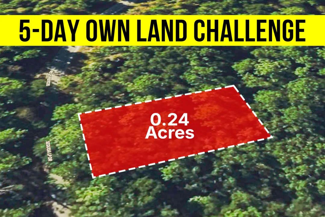 Own a 0.24-Acre Paved Road Access, No HOA - Owner Financing