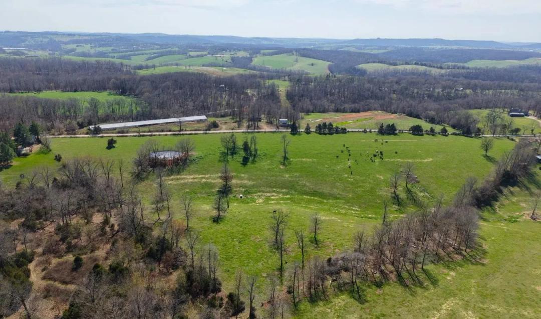 100 Acres Prime Development Land | Madison County