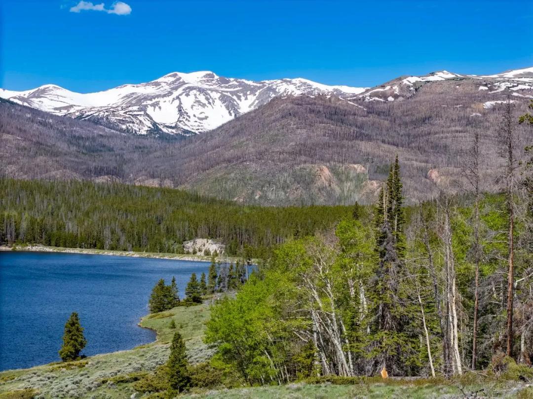 16 Lakefront Acres on Barnes Meadow Reservoir