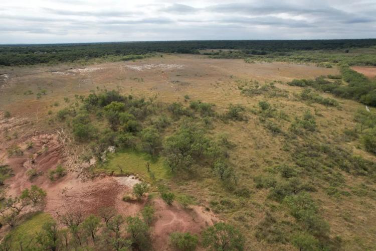 26+/- Acres, Jones County (Tract 16)