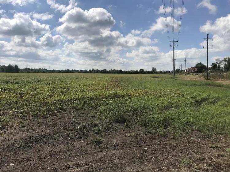 44.00 Acres at 0 Plant