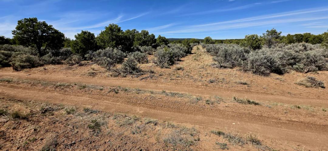 Taos Tres Piedras New Mexico - 1 acre no restrictions. Camp, RV, build