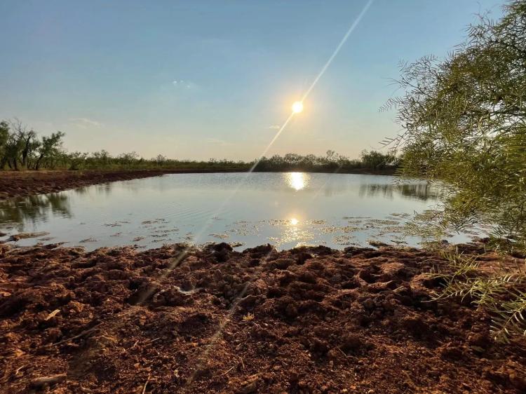 Back on the Market!! 317.64 Acres, Jones County
