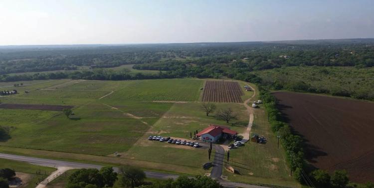 Lampasas Winery 