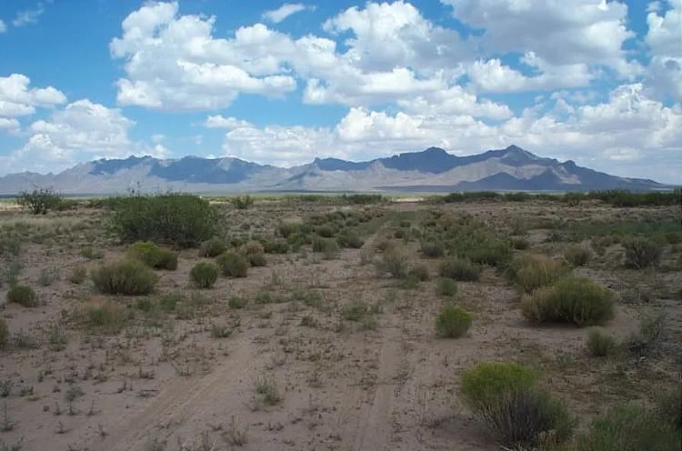 4 adjoining Lots *Scenic Southern New Mexico *100 miles west of El Paso  15 miles North of Mexico