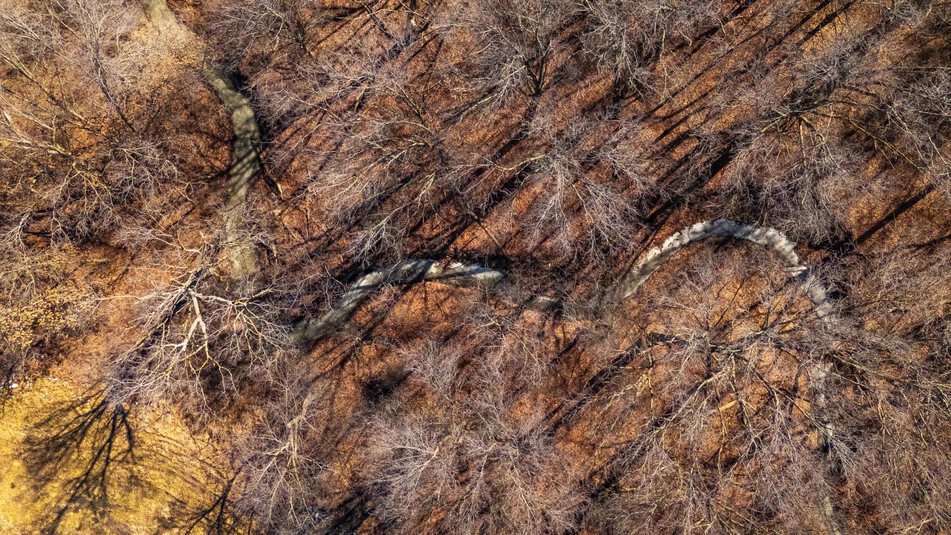42973826-39