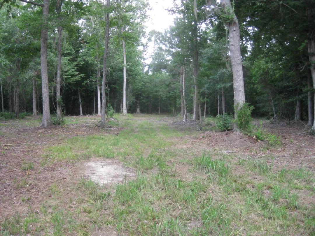 109.00 Acres at 0 Slab Landing Road