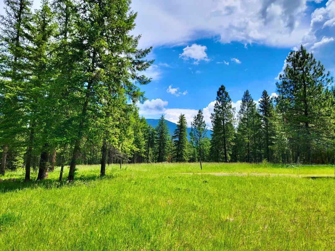 Trout Creek Woodland Tract