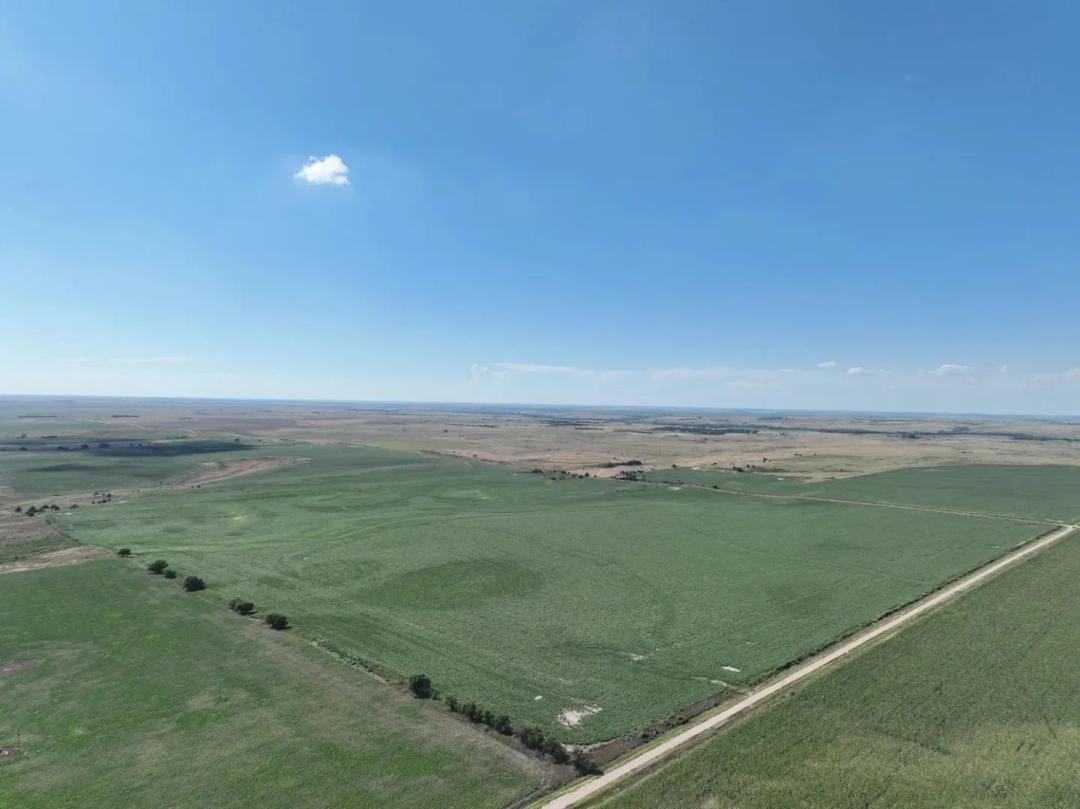 Grass and Dryland for Sale | 629+/- Acres | Rooks County, KS