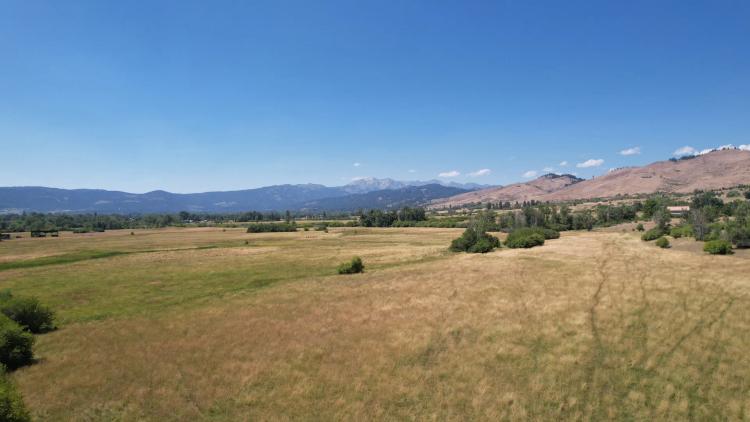 Sunny Dell Pasture Ranch