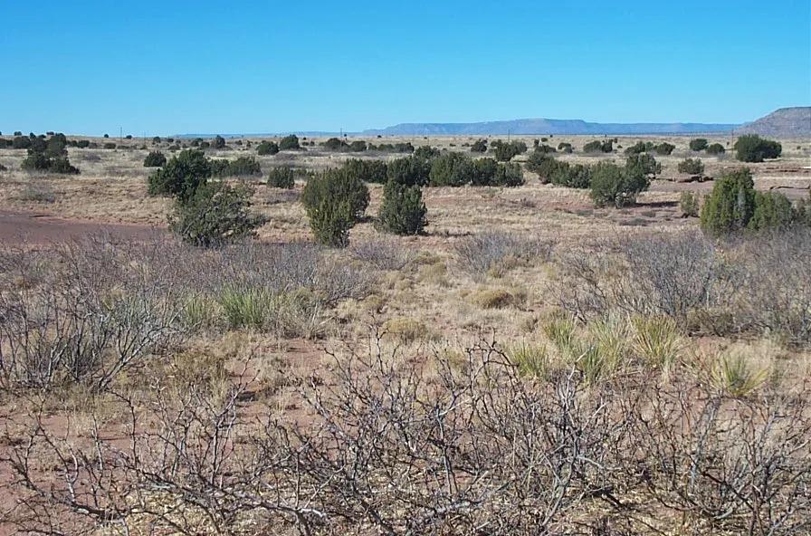 Remote Desert Beauty with Seasonal Creek