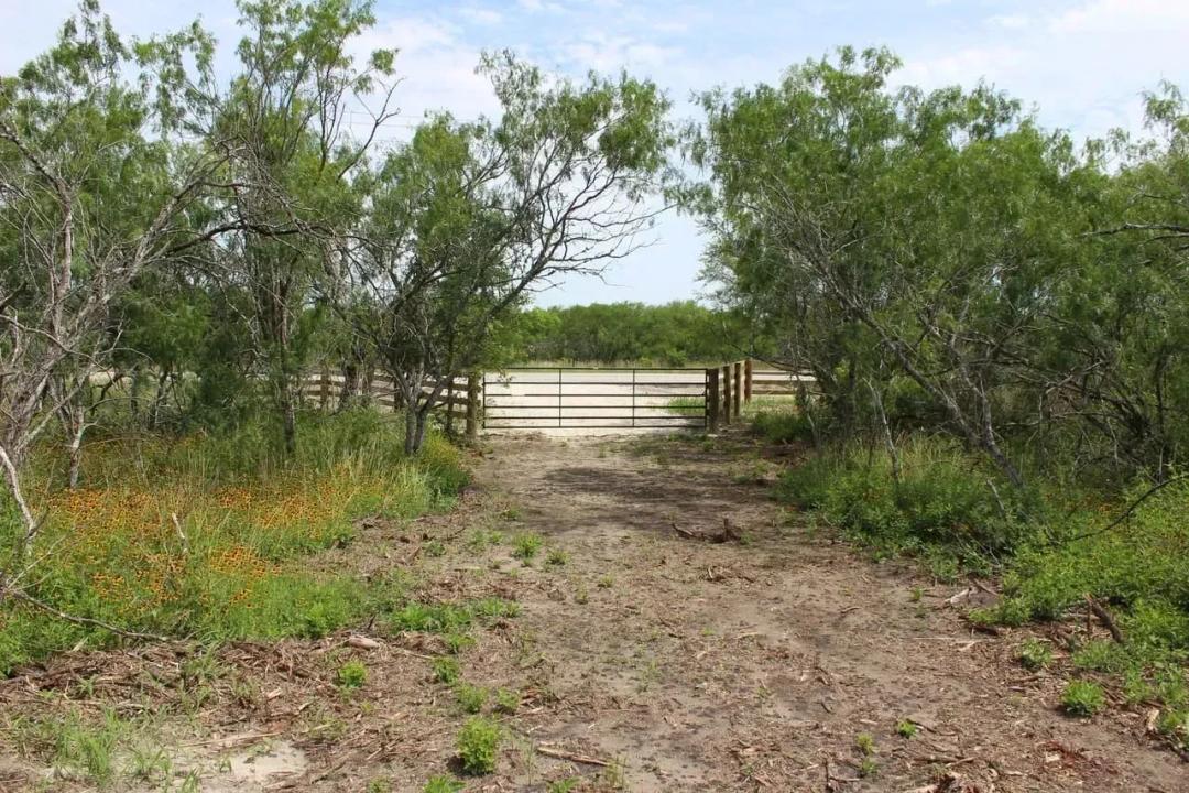 10+ acres of Goliad County land with owner finance options!