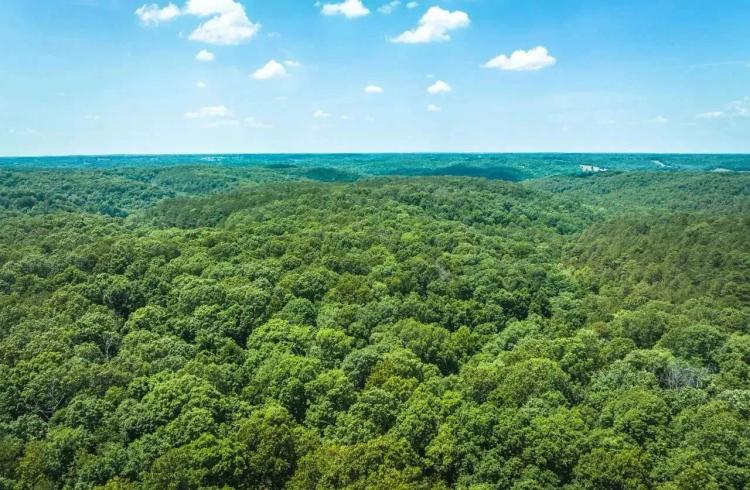 Huckleberry Ridge 25