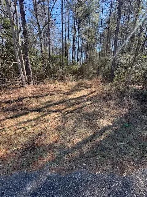 6.33 Acres / Plainview LA