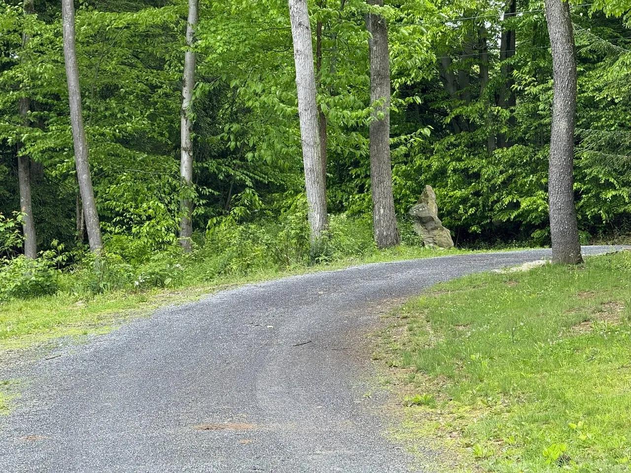 43226452-23