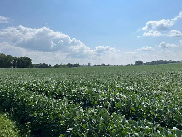 62.38 Acres at 820 Johnson Ave
