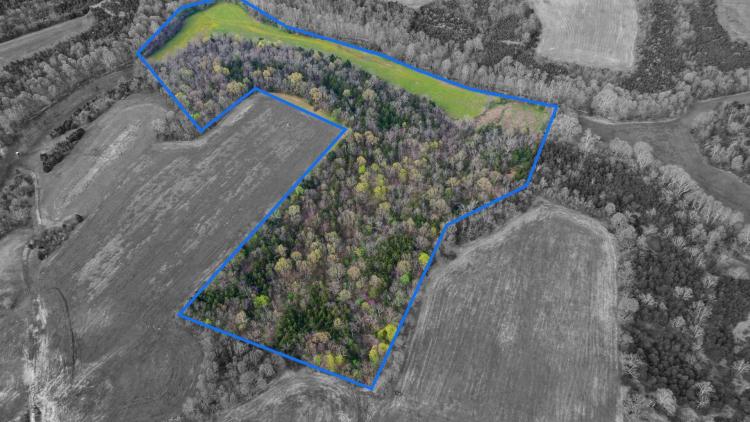 37.83 Acres at 5200 Block Holy Cross Rd