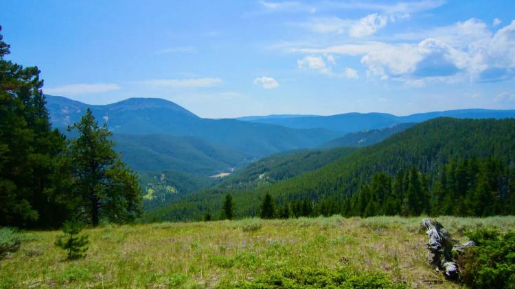 Prominent Pioneer Ridge Acreage