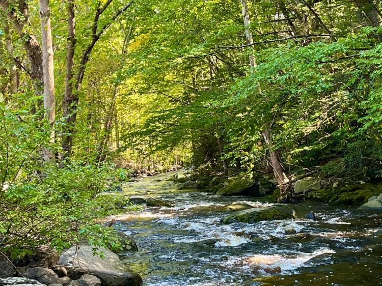 Hunting and Recreation Land in Ellenville NY