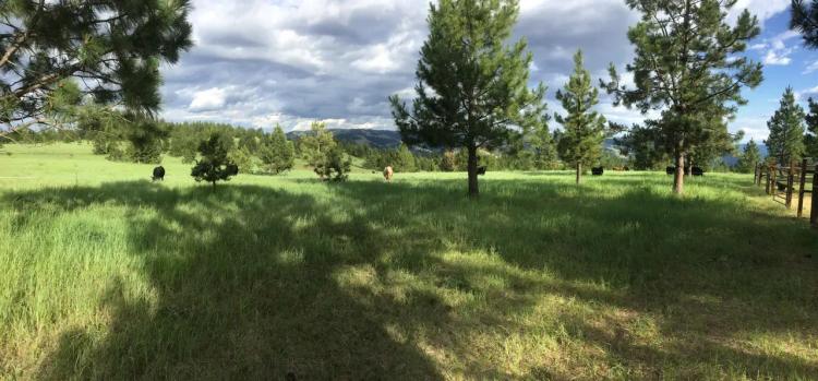 Hansell Road Mountain Property