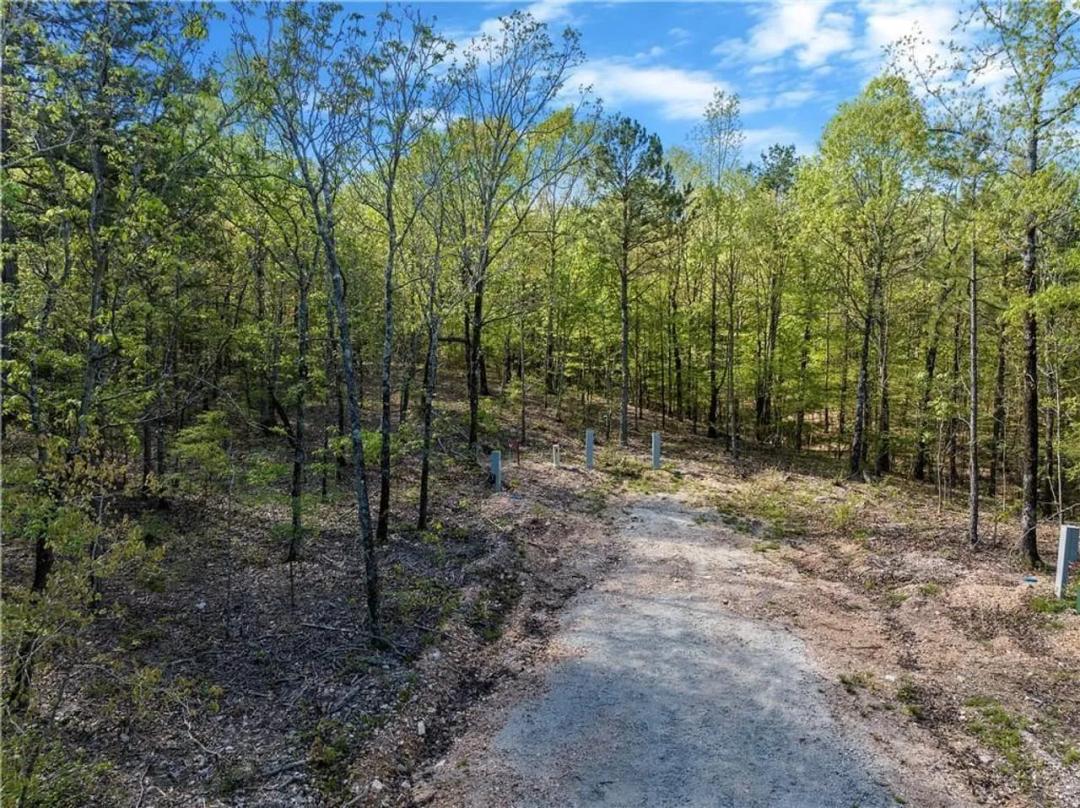 50 AJ Cedar Trail, Hochatown, Oklahoma 74728